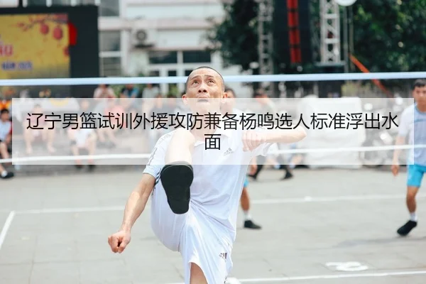 辽宁男篮试训外援攻防兼备杨鸣选人标准浮出水面